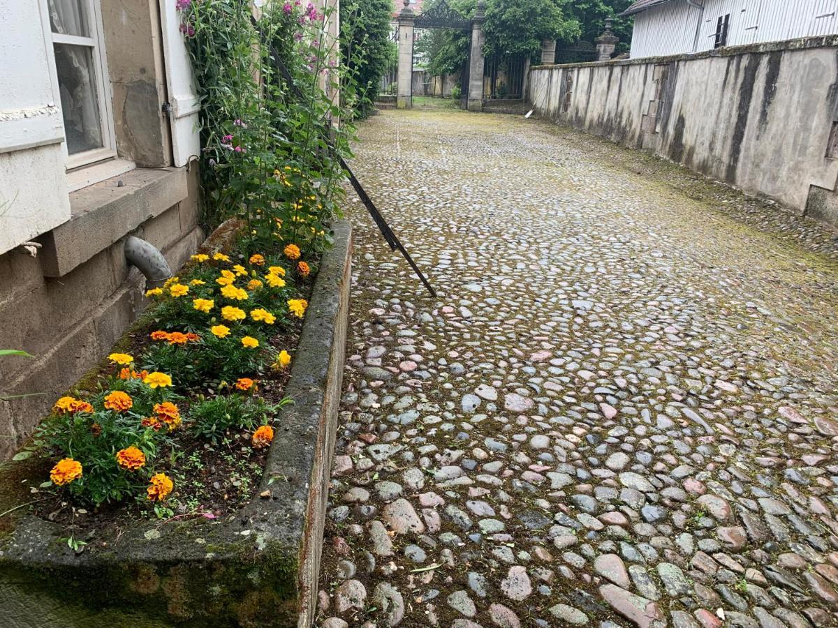 Les Jardins D'Elise, Calme Et Verdure A Lure 吕尔 外观 照片