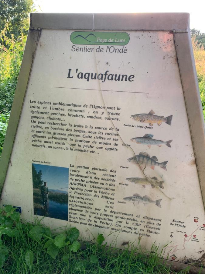 Les Jardins D'Elise, Calme Et Verdure A Lure 吕尔 外观 照片