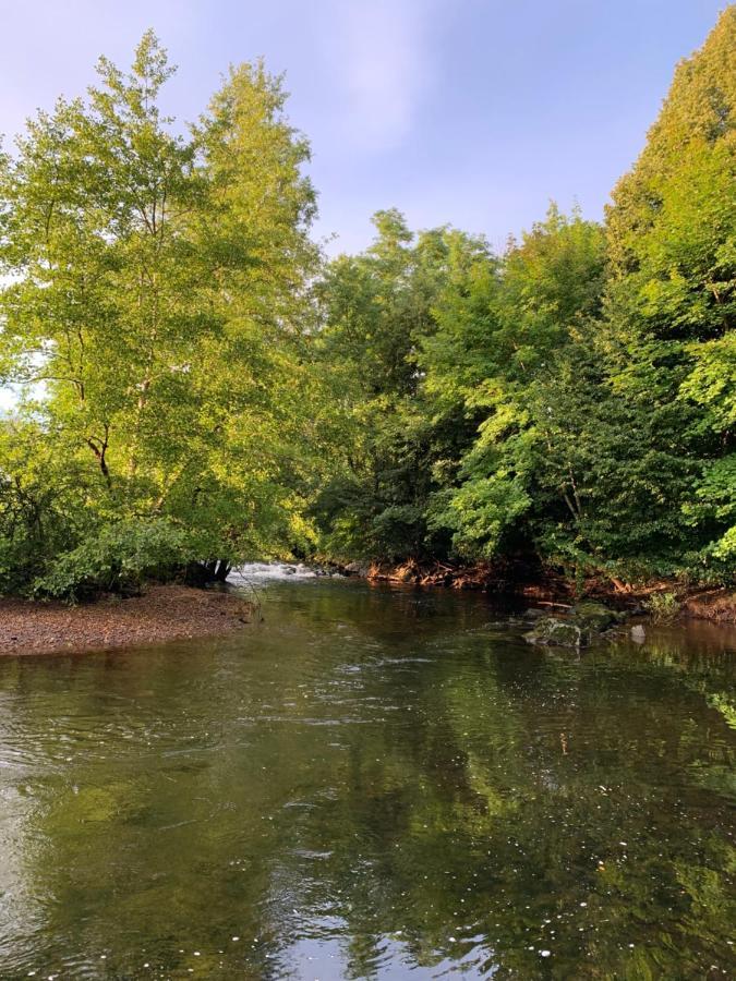 Les Jardins D'Elise, Calme Et Verdure A Lure 吕尔 外观 照片